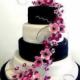 Black And White, Pink Orchid Cake