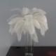 Discount item 100pcs ostrich feather for wedding table centerpiece,feather centerpiece,white ostrich feathers,wedding table decoration AAA