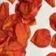 Orange rose petals, orange flower petals, fall wedding, fall decor, orange red flower petals, rustic wedding