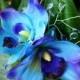 BRIDAL FLOWER CLIP-Maui Blue Hawaiian Orchids, Tropical, Beach Wedding Accessory, Crystal Center, Headpiece, Tropical Hair Clip, Silk flower