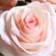 10pcs Blush Pink Artificial Rose Flowers - Silk Rose - Real Look Rose Arrangement - Floral Decoration -Wedding Party Decor - FATROS022