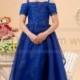 Fashion Color Applique Royal Blue Flower Girl Dress