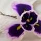 Large Purple Iris Hair Flower - Purple Iris Hair Pin, Iris Hair Clip, Iris Flower for Hair, February Birthday Gift Idea