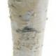 SALE Birch Bark Vase Tall Rustic 9" Vase Wood Wrapped Planter Wedding Centerpiece Birch and Zinc Flower Pot
