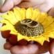 Yellow Sunflower ring Dish, holder Ring bearer, Wedding rings storage, sunflower wedding, wedding decoration, Wedding Gift, Sunflower ring