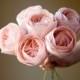 Juliet rose fabric flowers - cotton anniversary gift, handmade for home decor + weddings, 2nd anniversary gifts, flower anniversary gift
