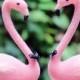 SALE! Pink Flamingo Wedding Cake Topper: Groom and Groom Gay Love Bird Cake Topper -- Two Grooms -- LoveNesting Cake Toppers