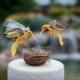 SALE! Hummingbird Wedding Cake Topper in Sunshine Yellow: Rustic Bride and Groom Love Bird Cake Topper -- LoveNesting Cake Toppers
