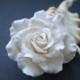 Ivory rose - Bridal hair flower, Wedding hair flower, rose hair clip, Bridal flower clip, Wedding hair accessories, bridal hair accessories
