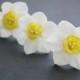 Daffodils flower hair pin set - bridal flower hair clip - bridal flower pins - Daffodils hair clip - flower hair clip - clay hair flower.