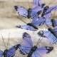 Purple Butterfly Cake Toppers for your Lavender Wedding, Woodland Spring Garden Theme
