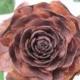 35 Rose Pine Cones  or Cedar Rose , From The Deodar Cedar Tree ( Cedrus  Deodar )