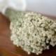 Dried achillea of pearl bunch, white dried flowers, white wedding flowers, filler, dried flower filler, white dried flowers