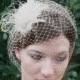 Wedding Accessories Champagne Birdcage Veil with Ostrich Feather Fascinator Clip
