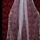 Beaded silver Embroidery Cathedral/Chapel/length wedding veil