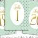 Digital Printable Wedding table numbers signs 1-20 - Instant Download - 5x7 - Print for Wedding JPG - Mint Gold Foil