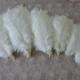 100 pcs white ostrich feather plumes for wedding centerpieces wedding decor party event supplies