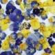 Dried Pansy, Cake Topper, Edible Flowers, Supply, Real, Blue, Lemon, Wedding, Dry Flower, Pansy, Petals, Confetti, Food Decoration, Natural
