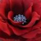 Red Rose Flower Fascinator Bridal Floral Brooch Pin Bridesmaid Rhinestone Head Piece Silk Flower Headband Cake Topper Ring Bearer Pillow