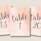 Peach Watercolor Table Numers 1 -20
