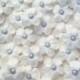 Small white royal icing flowers with silver pearl centers  -- Cake decorations cupcake toppers edible (24 pieces)