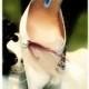 Pearl Plum & Ivory Peacock Shoe Clips Set. Stylish Feminine Couture Statement Stunning, Bride Bridal Bridesmaid MOH Gift, Beige Vanilla Clip