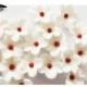 Asian Theme White Apple Blossoms Sugar Flowers Wedding Cake CupCake Toppers