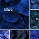 Dark Blue Silk Rose Petals, 300 petals