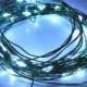 48 Cool White Fairy Lights on 15-foot coated green wire string light. Battery-operated lights with a timer.
