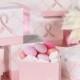 12pcs Pink Ribbon Wedding Favor Box Women Health Care TH007