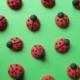 Royal icing ladybugs -- Handmade cupcake toppers cake decorations edible (24 pieces)