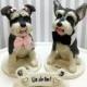 5" Mini Schnauzer cake toppers, We do too! Bone-shaped sign with base and roses, two dog cake toppers, custom dog cake toppers