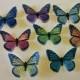 Double-Sided Edible 3-D Wafer Paper Large Monarch Butterflies for Cakes, Cupcakes or Cookies
