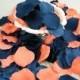 Coral and Blue Rose Flower Petals 