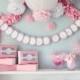 Bella Collection- 5 Pom Poms- Ballerina Birthday/ Little girls party decoration/ photoshoot props/ baby shower decortation