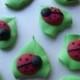 Ladybugs on leaves   -- Handmade cupcake toppers cake decorations edible (12 pieces)