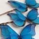 Hand Cut silk butterfly hair pins - Trio of Bright Blue Morpho