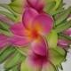 PLUMERIA NANI-Plumeria hair clip,Hawaii,Pink,Green,Plumerias,Spider Lilies.Beach brides,Tropical weddings,Hula,Pageants,Pin Ups flowers.