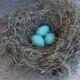 Wedding Table Decor Rustic Bird Nest Handmade with Turquoise Robin's Eggs Farmhouse AMarigoldLife