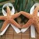 2 Men's Sugar Starfish Beach Wedding Boutonnieres with Ribbon