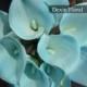 9pcs Real Touch Light Aqua Blue Calla Lily Stems Turquoise For Silk Wedding Bouquets, Centerpieces, Wedding Flowers