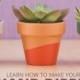 How To Paint Terracotta Pots For Succulents