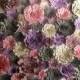 Weddings Huge lot of paper flowers 5-10 Inches for Photo backdrop Colors of your Choice