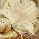 Feather Hair Clip, Feather Fascinator, Wedding Hair Accessories, Bridal Hair Fascinator,Vintage Style Fascinator, Great Gatsby, Bridal Comb,