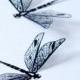 NEW YEAR SALE Df015 - 12 x 3D Black Dragonflies for Scrapbooking, Cards and Decorations