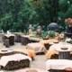 50  Tree Stumps Wedding Ideas For Rustic Country Weddings