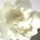 ivory white peony blossom wedding flower comb