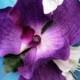 TROPICAL HAIR FLOWER, Hair clip, Hawaiian Purple Orchid, Wedding Accessory, Silk Flower, Beach Bride, Fascinator, Headpiece, Bridal Flowers
