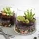 Candy Terrariums For The Etsy Blog!