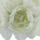 Ivory Silk Peony Hand Tie (12 Peonies) - Bridal Wedding Bouquet
